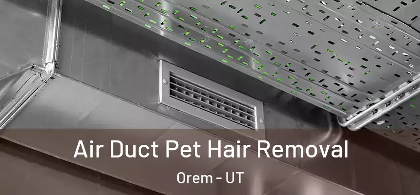 Air Duct Pet Hair Removal Orem - UT