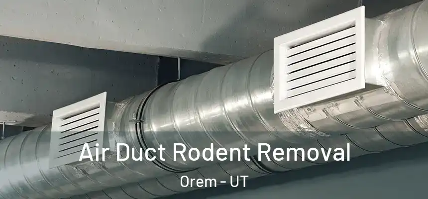 Air Duct Rodent Removal Orem - UT