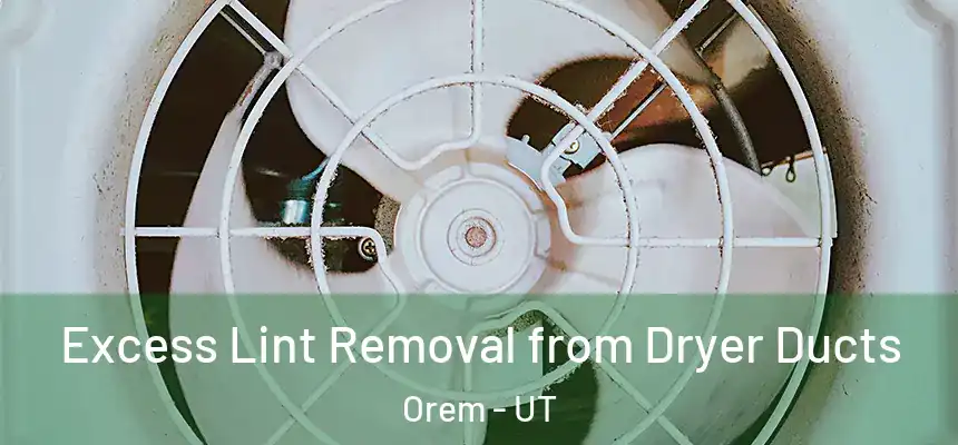  Excess Lint Removal from Dryer Ducts Orem - UT