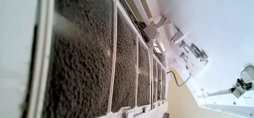 Preventive Air Duct Bacteria Removal in Orem