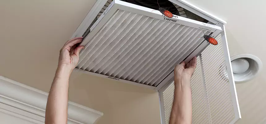 Preventive Cockroach-Proofing for Ducts in Orem