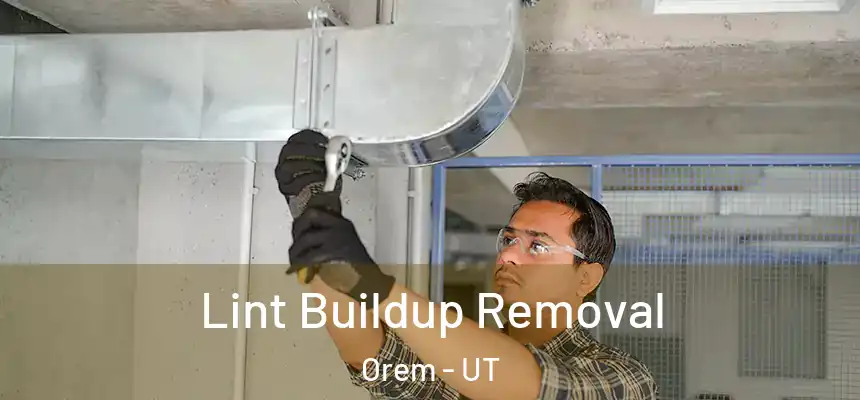 Lint Buildup Removal Orem - UT