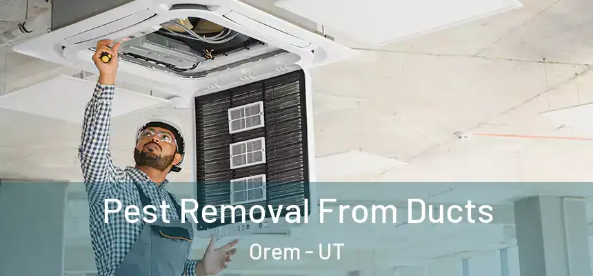 Pest Removal From Ducts Orem - UT