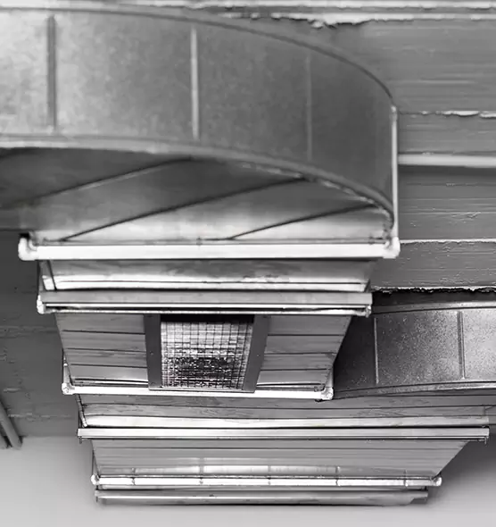 Professional Air Duct Pet Hair Removal in Orem, UT