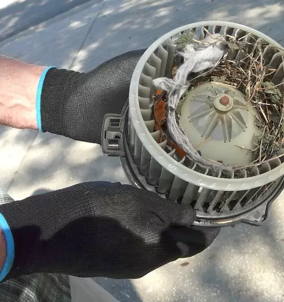 About Air Duct Rat Removal in Orem, UT