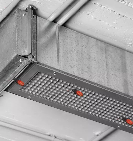 Affordable Insect Removal from Air Ducts in Orem, UT