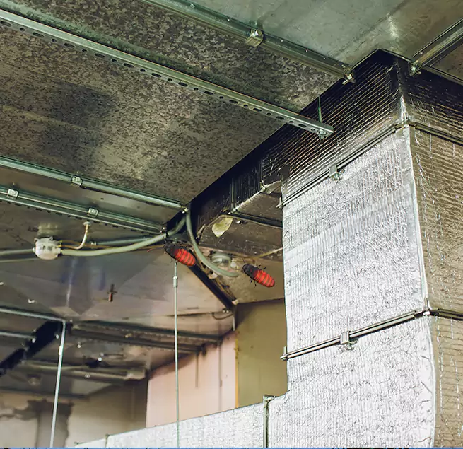 Why Homeowners & Businesses Trust Us in Orem, UT?