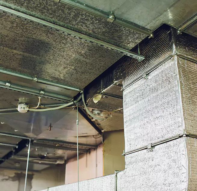 Why Homeowners & Businesses Trust Us in Orem, UT?